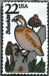 WB Postage Stamp Pin Bobwhite Quail